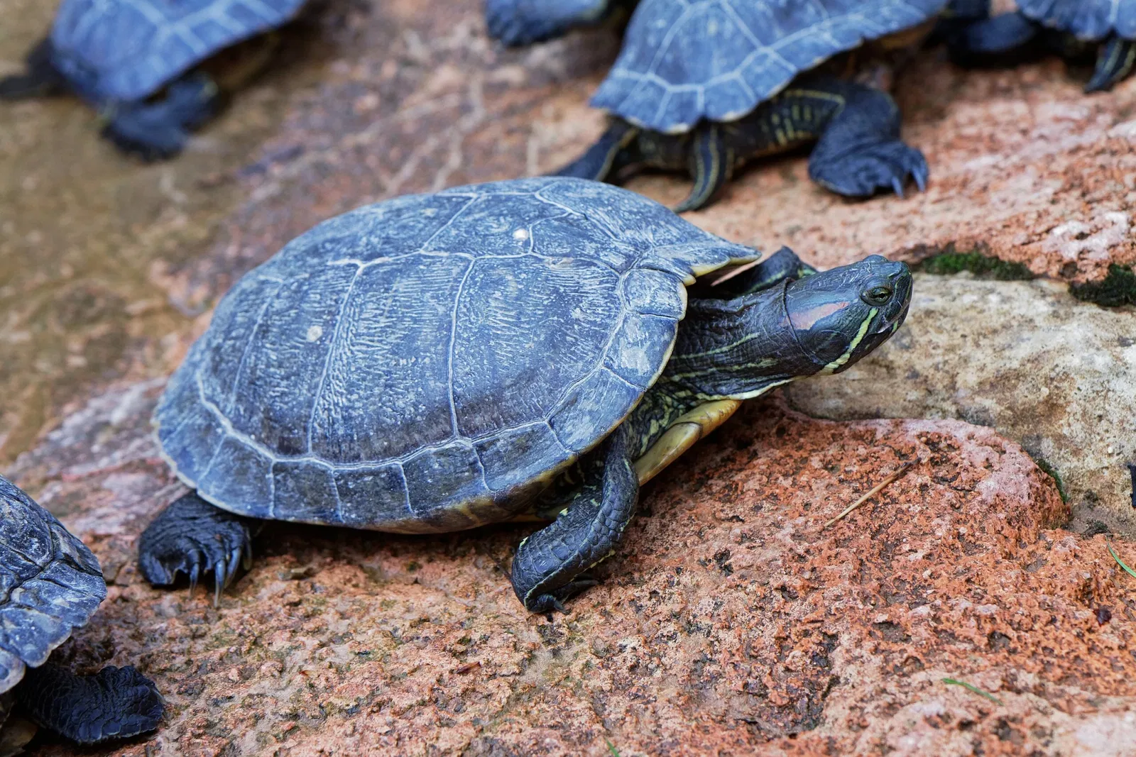 Aquarium du Périgord Noir