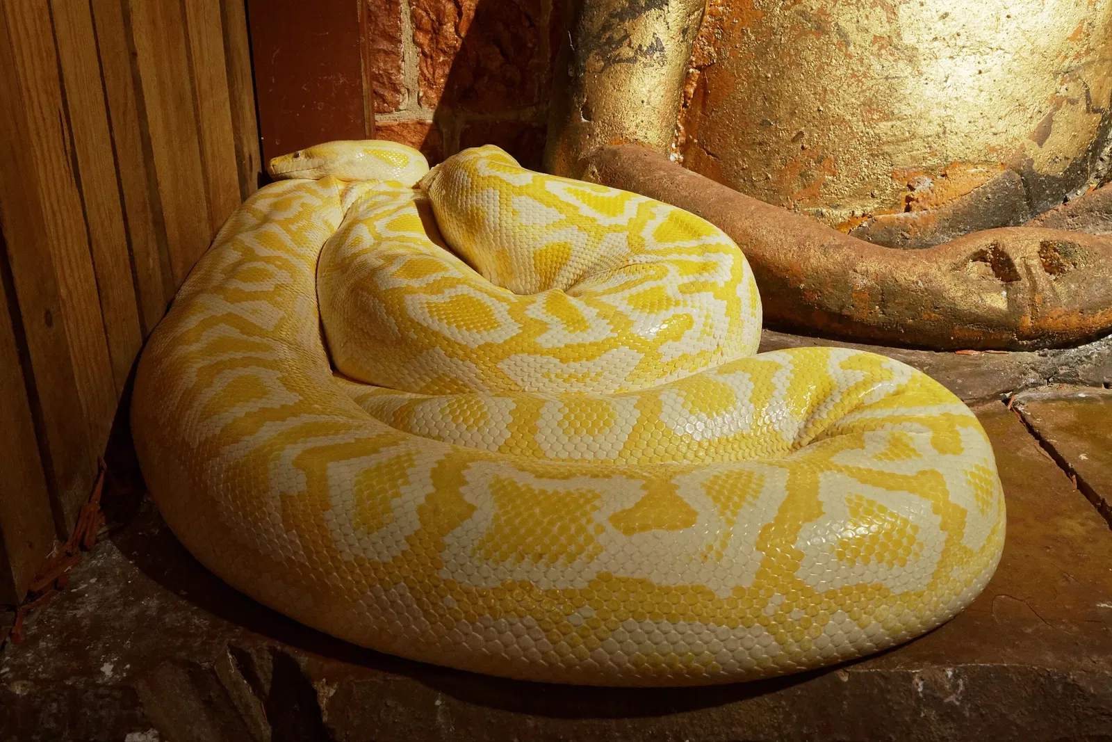 Aquarium du Périgord Noir