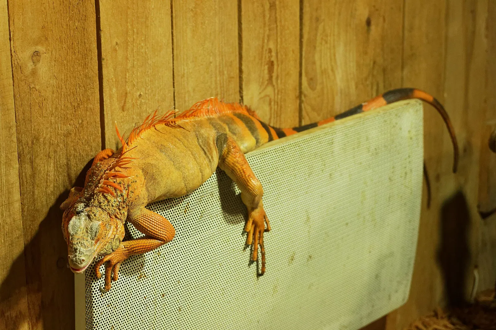 Aquarium du Périgord Noir