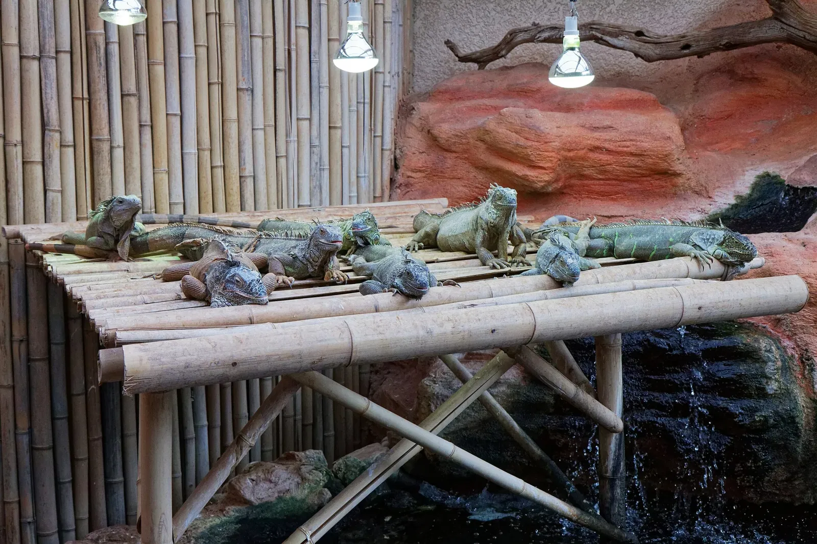 Aquarium du Périgord Noir