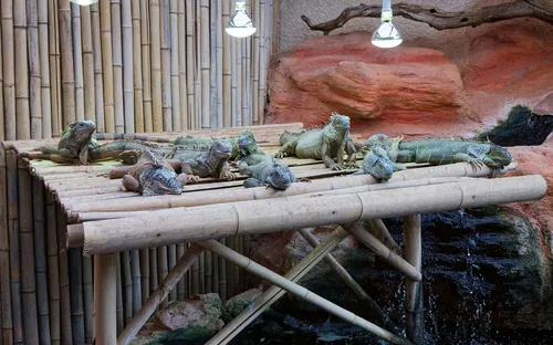 Aquarium du Périgord Noir