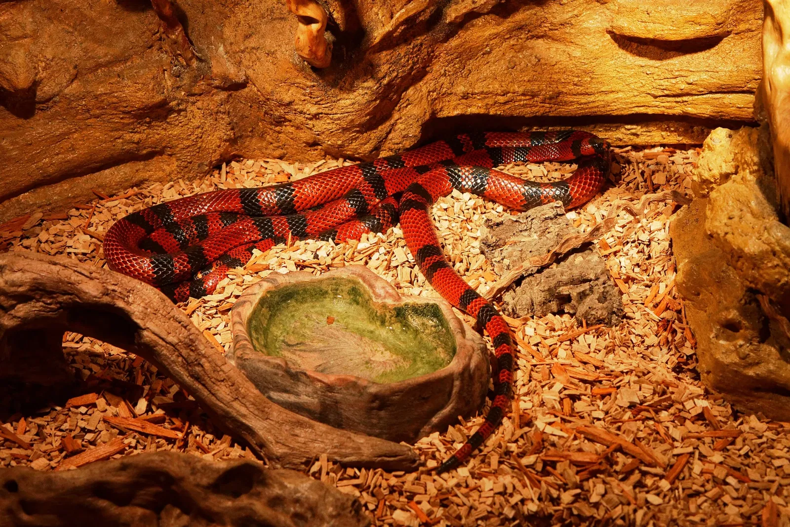 Aquarium du Périgord Noir