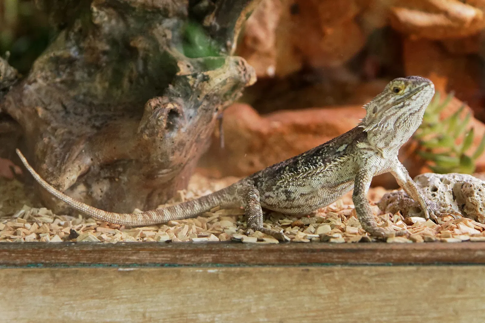 Aquarium du Périgord Noir