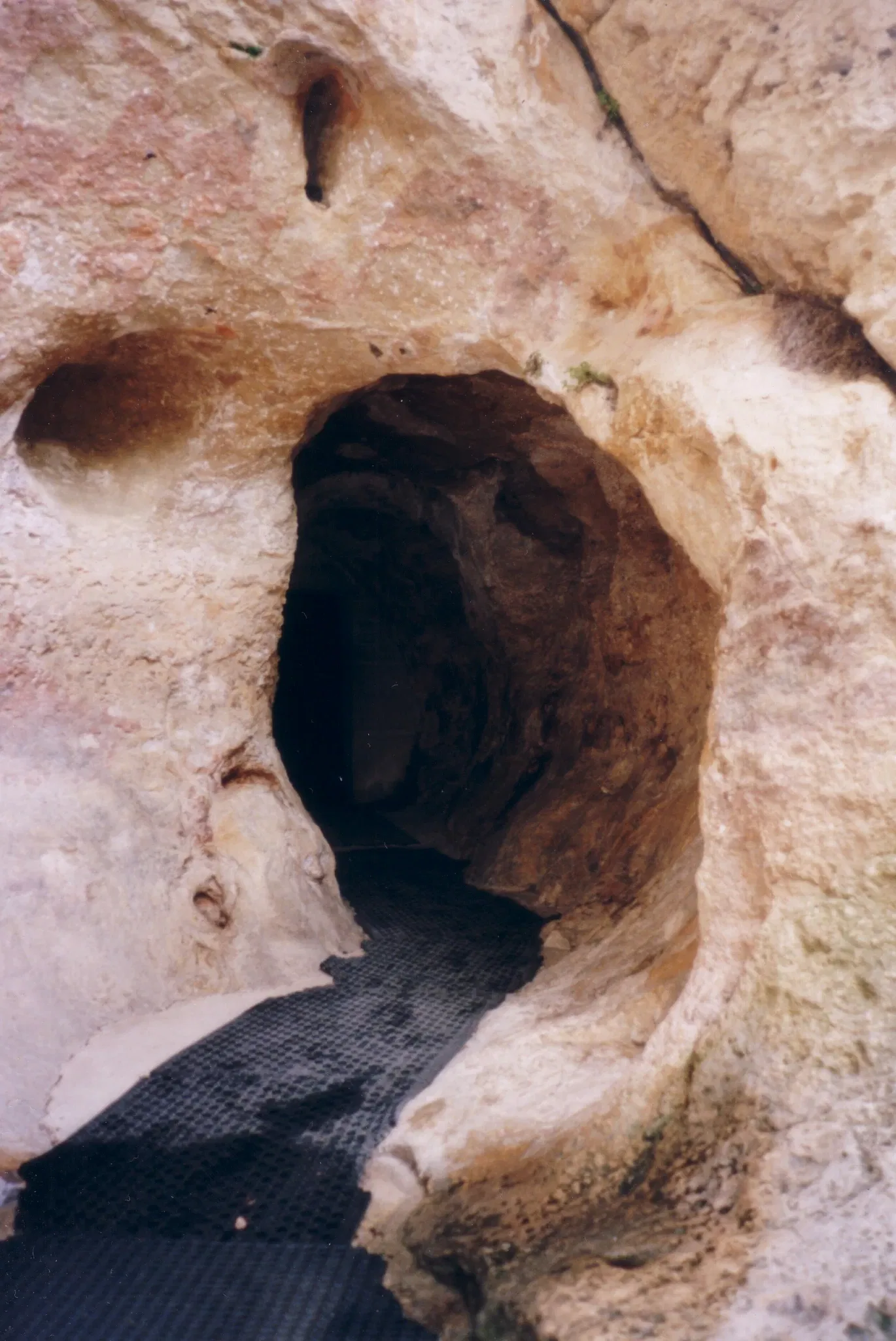 Cueva de Font-de-Gaume