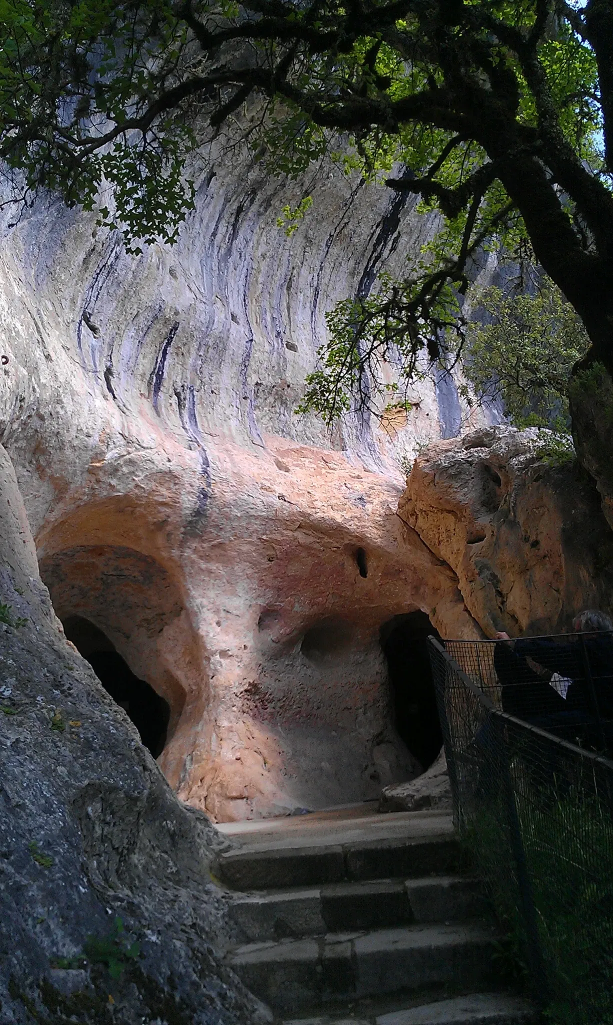 Grotte de Font-de-Gaume