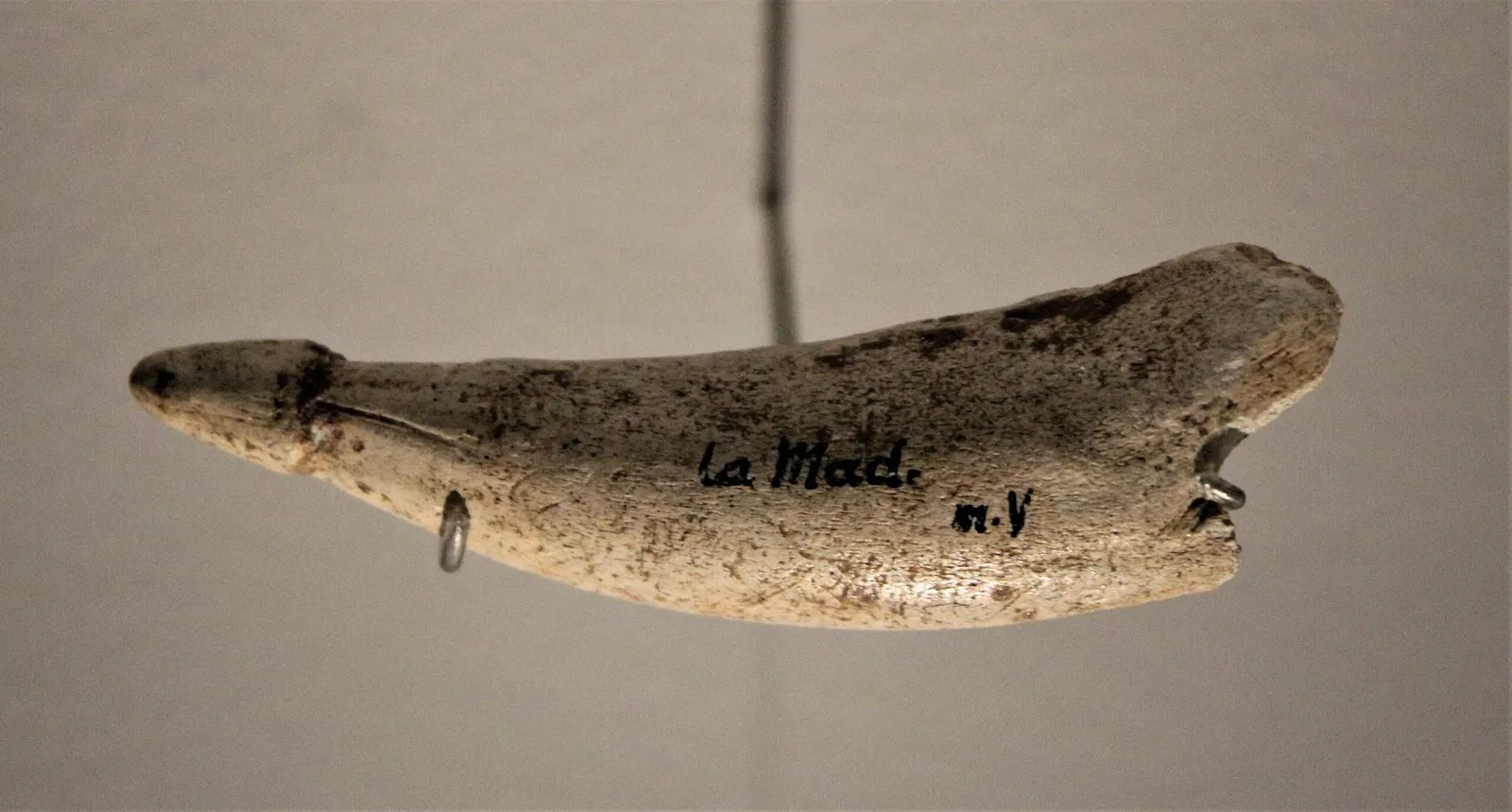 National Museum of Prehistory