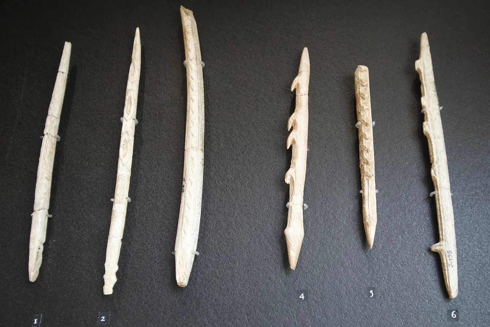 National Museum of Prehistory