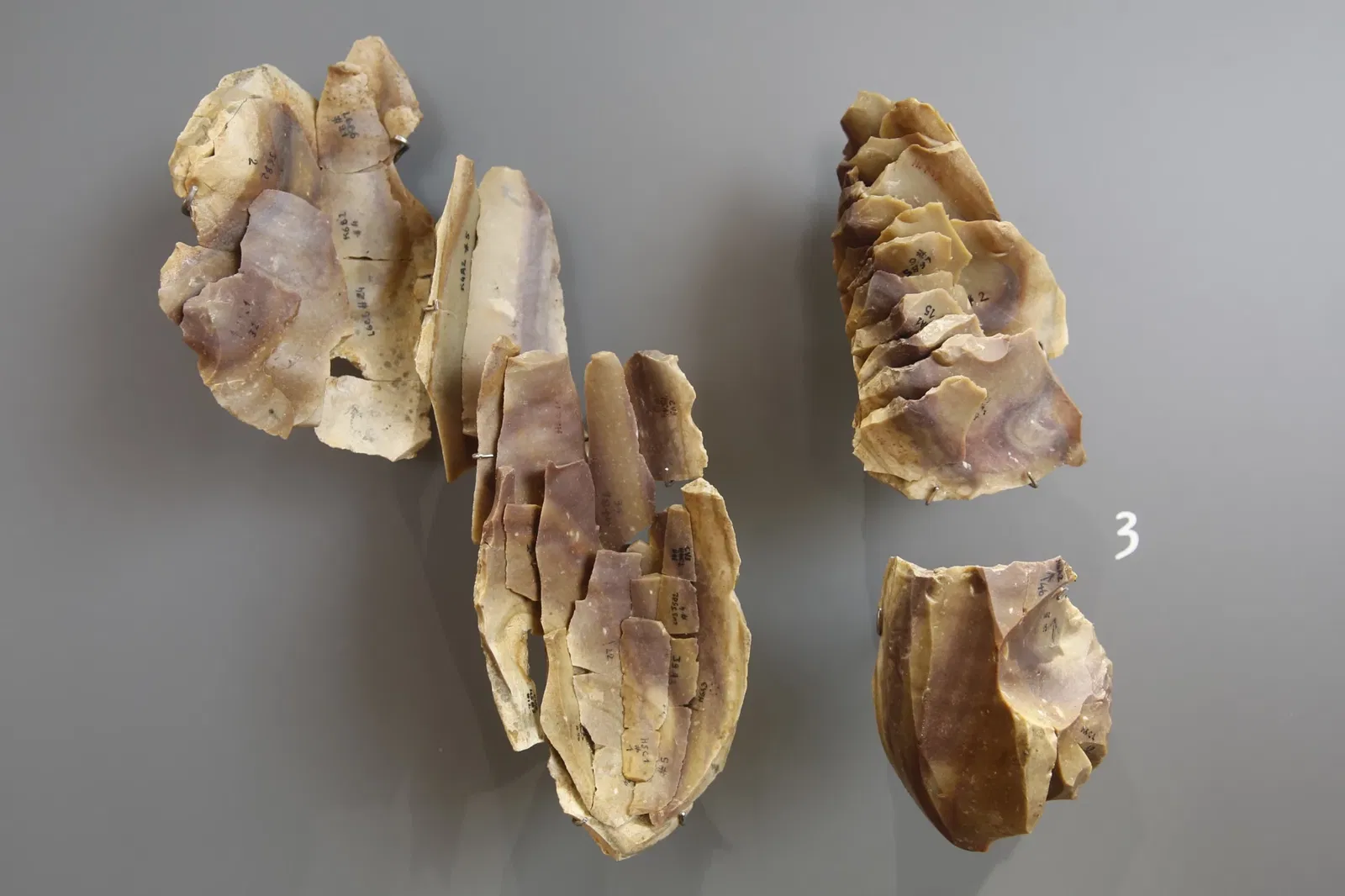 National Museum of Prehistory