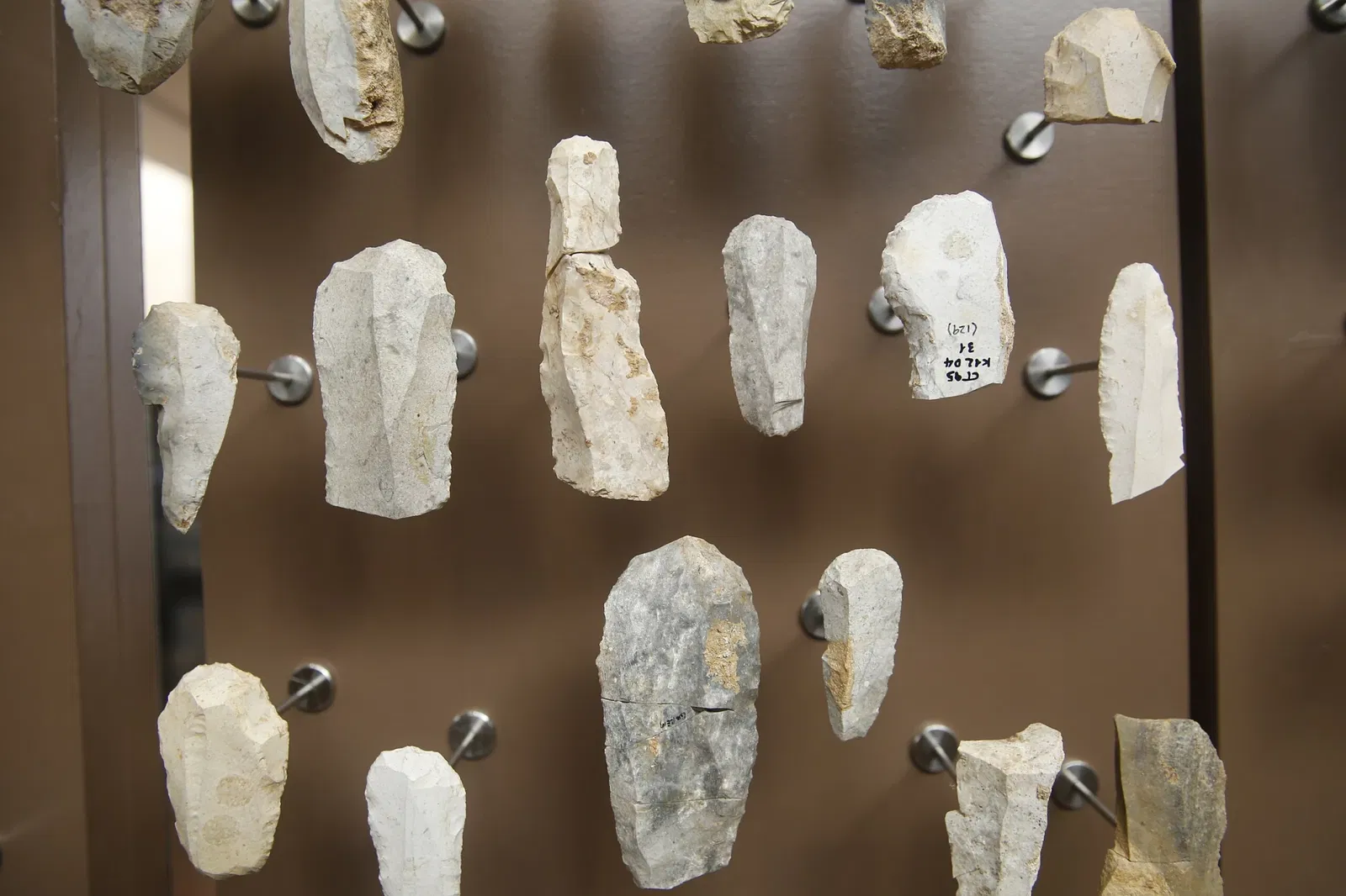 National Museum of Prehistory