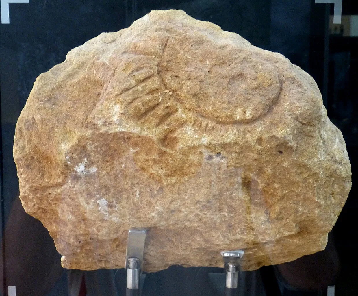 Musée National de Préhistoire