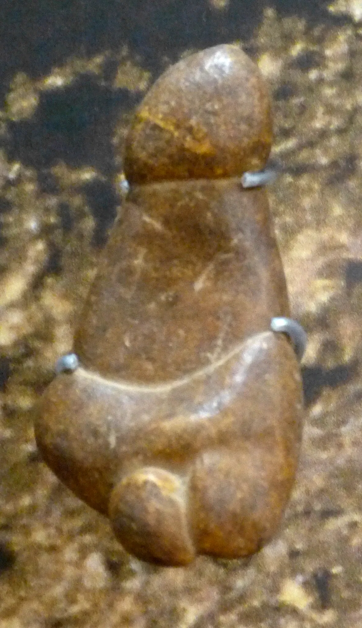 Musée National de Préhistoire