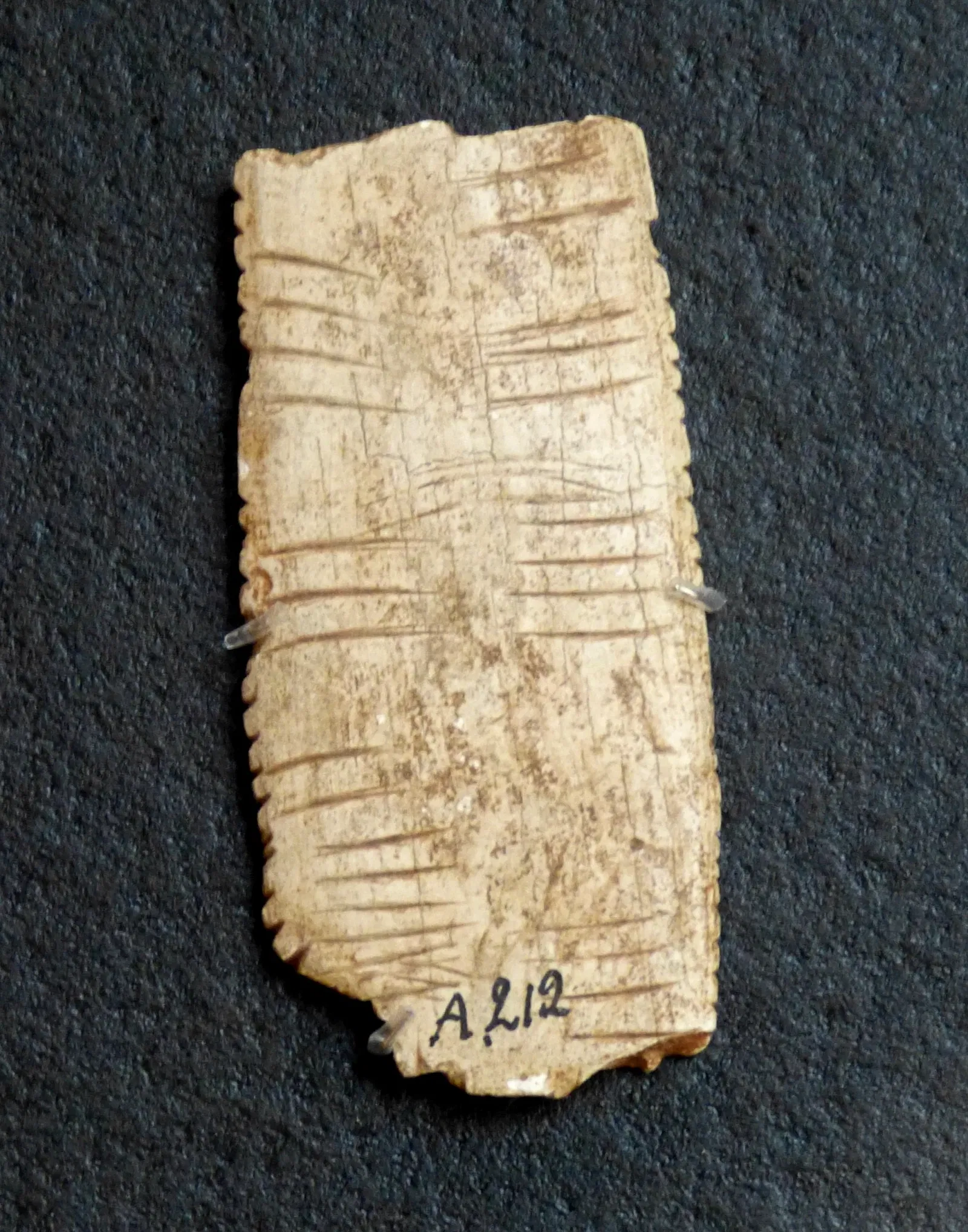 Museo Nacional de Prehistoria de Eyzies