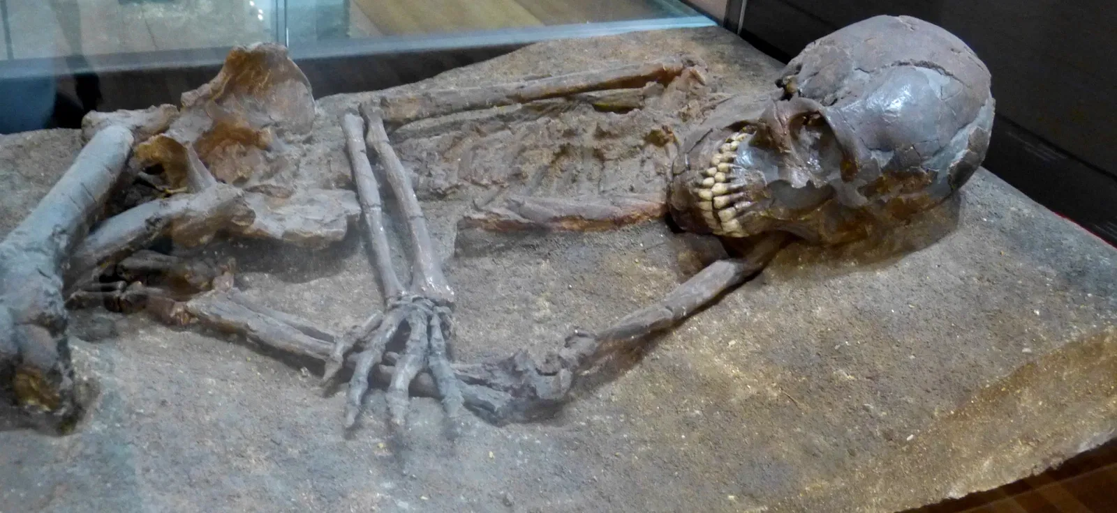 National Museum of Prehistory