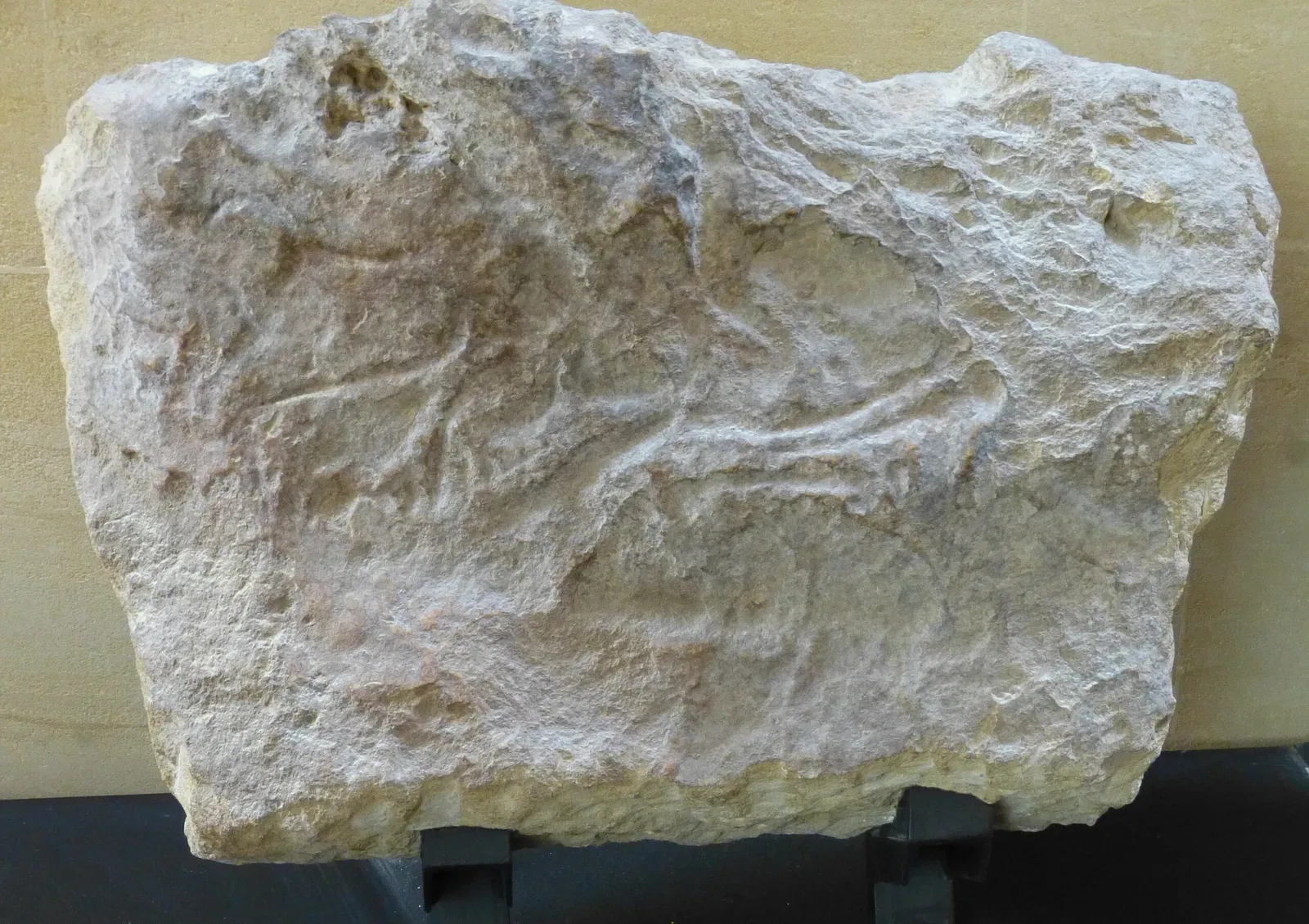 Museo Nacional de Prehistoria de Eyzies