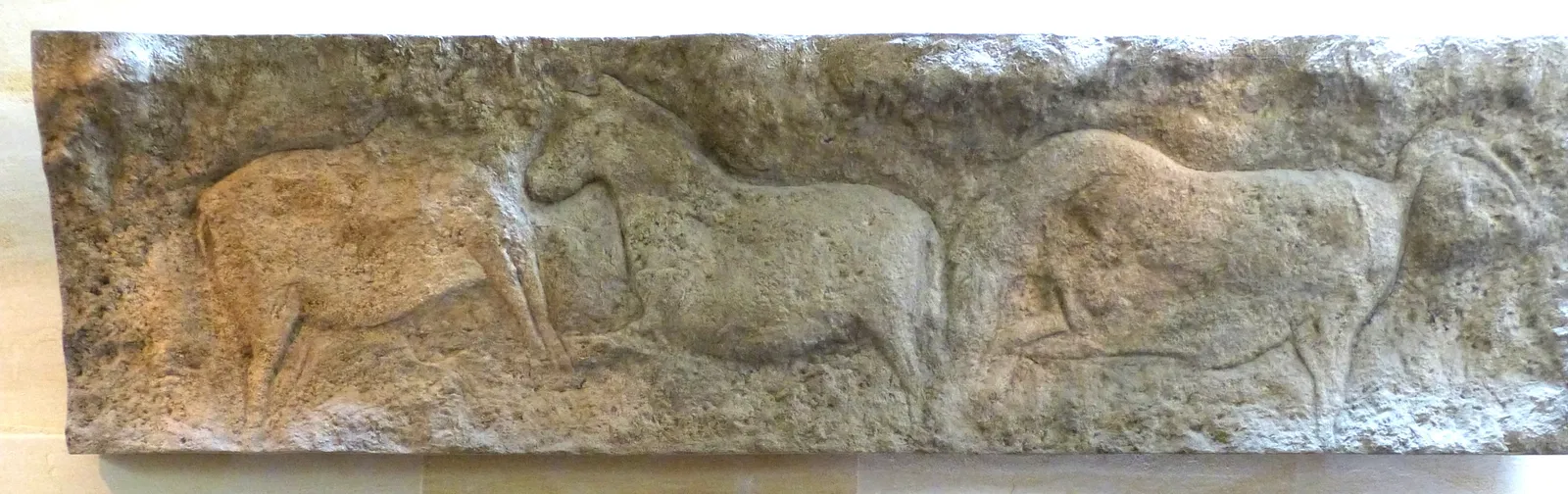 Museo Nacional de Prehistoria de Eyzies