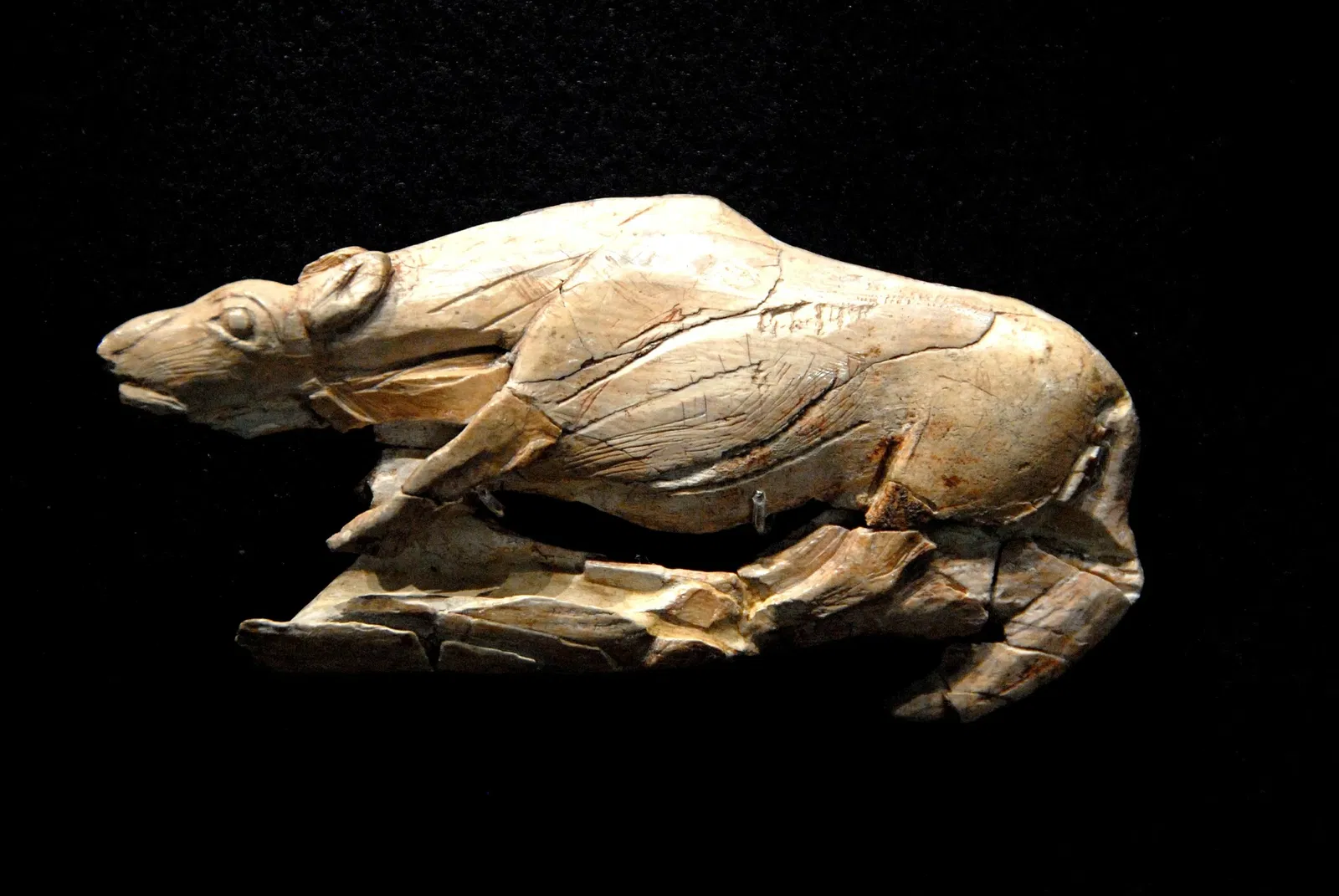 National Museum of Prehistory