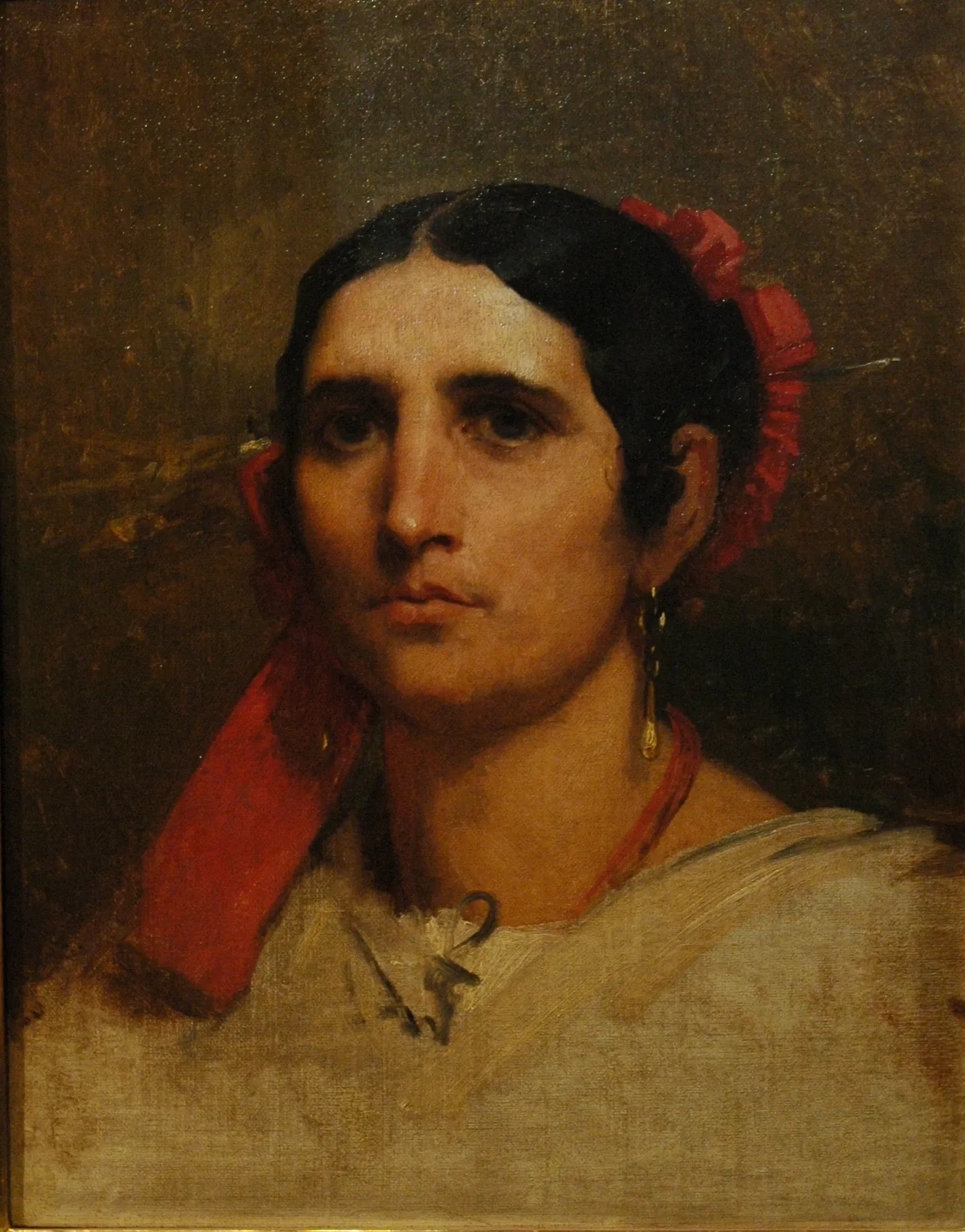 Musée Muséum Départemental