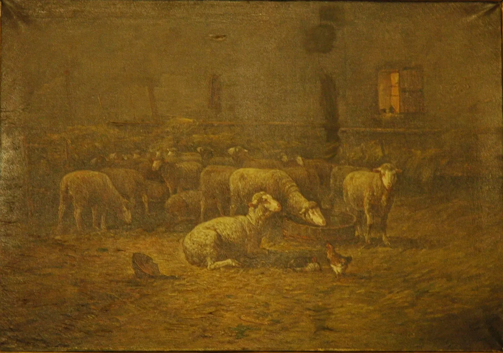 Musée Muséum Départemental