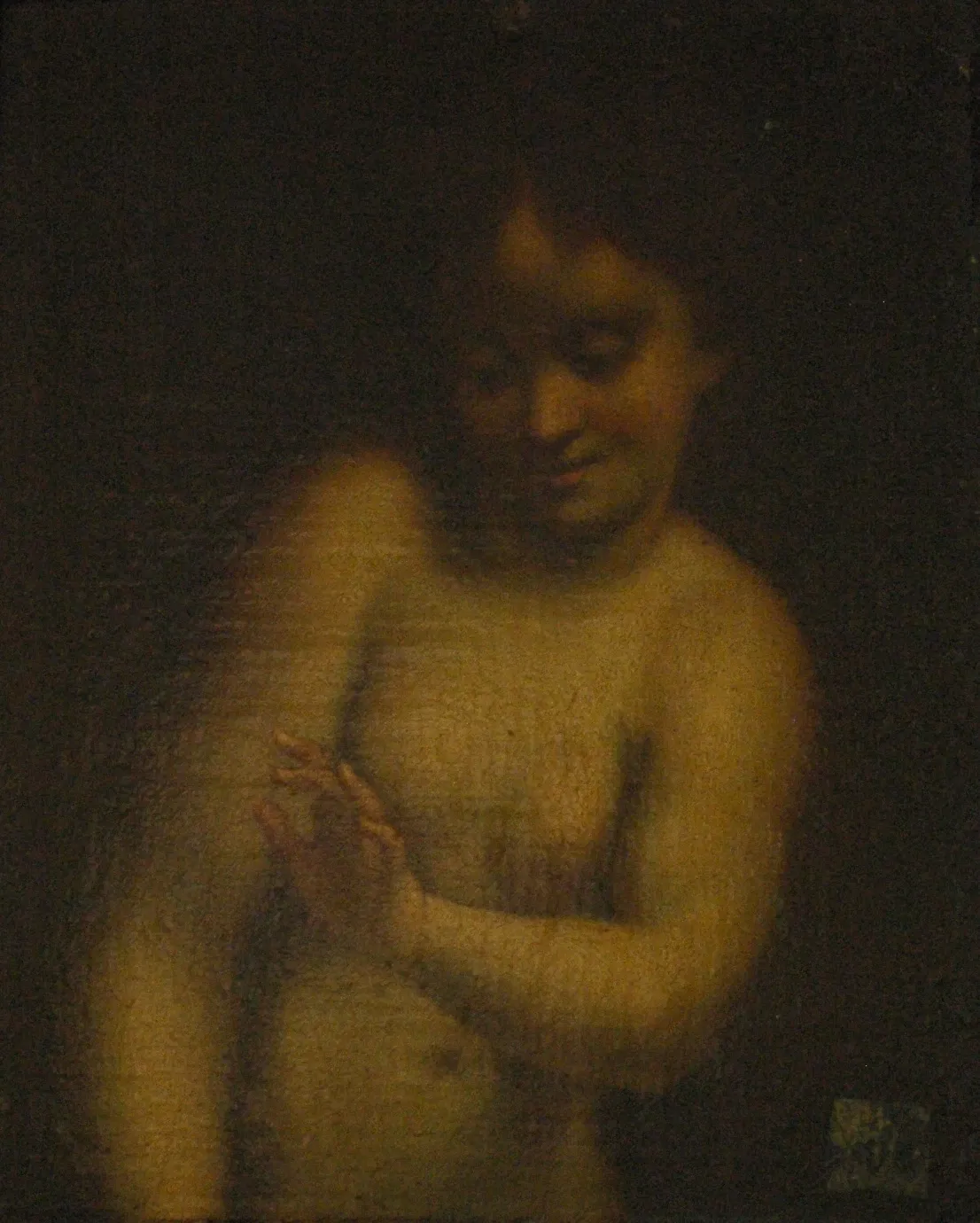 Musée Muséum Départemental