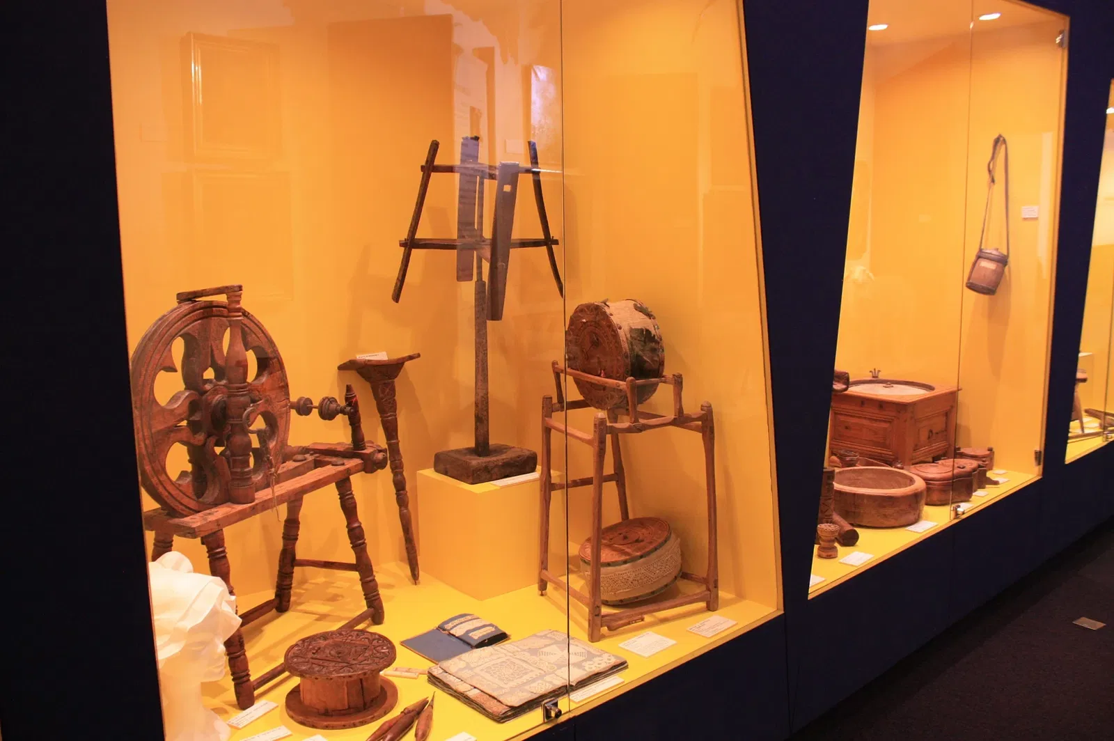 Musée Muséum Départemental