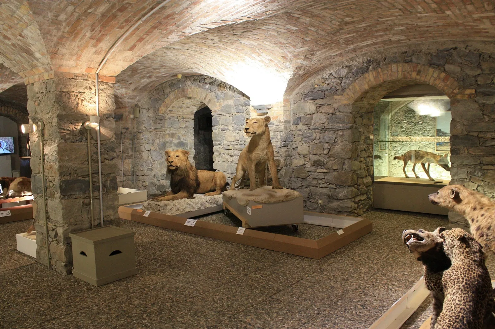 Musée Muséum Départemental