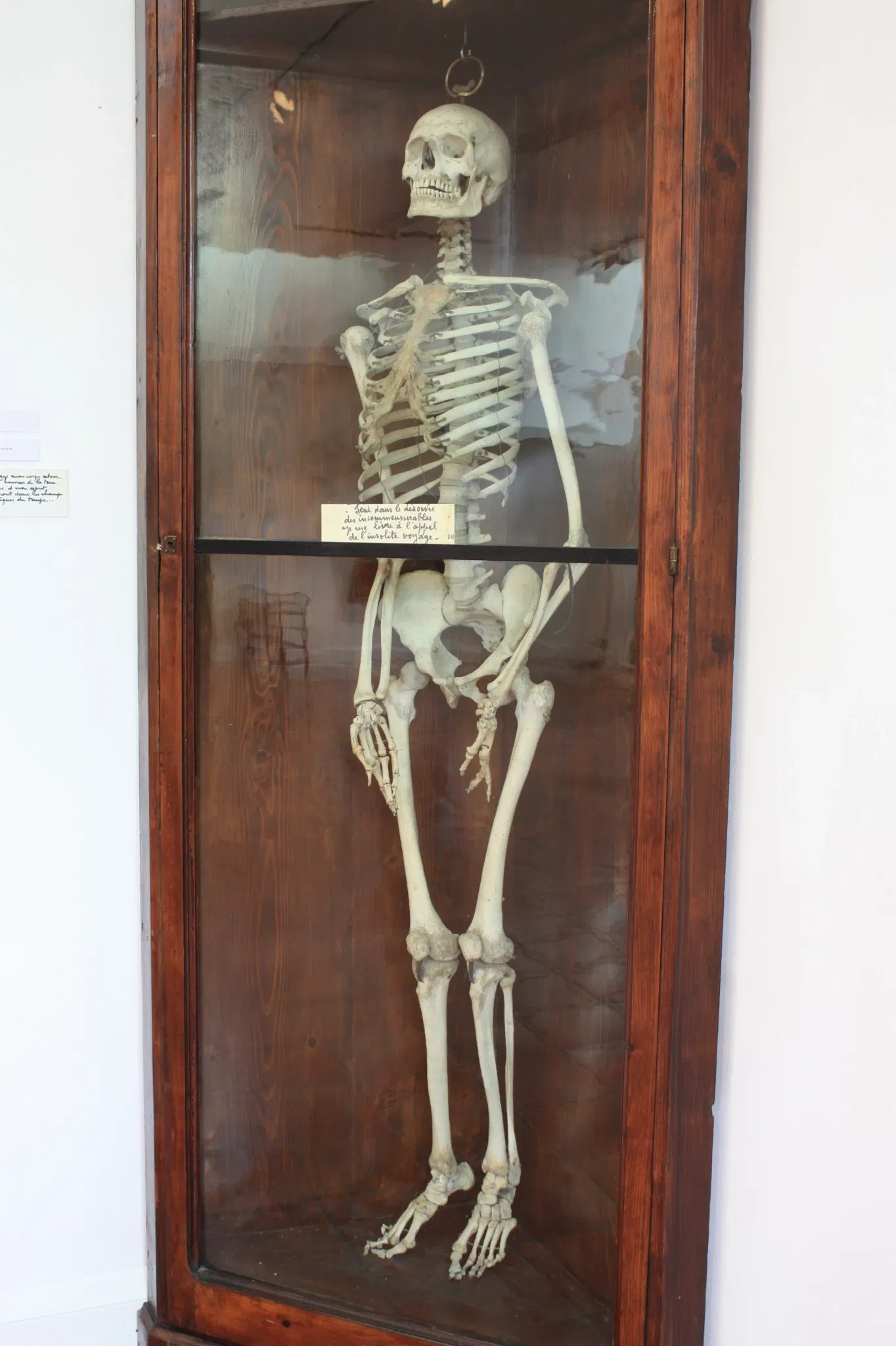 Musée Muséum Départemental