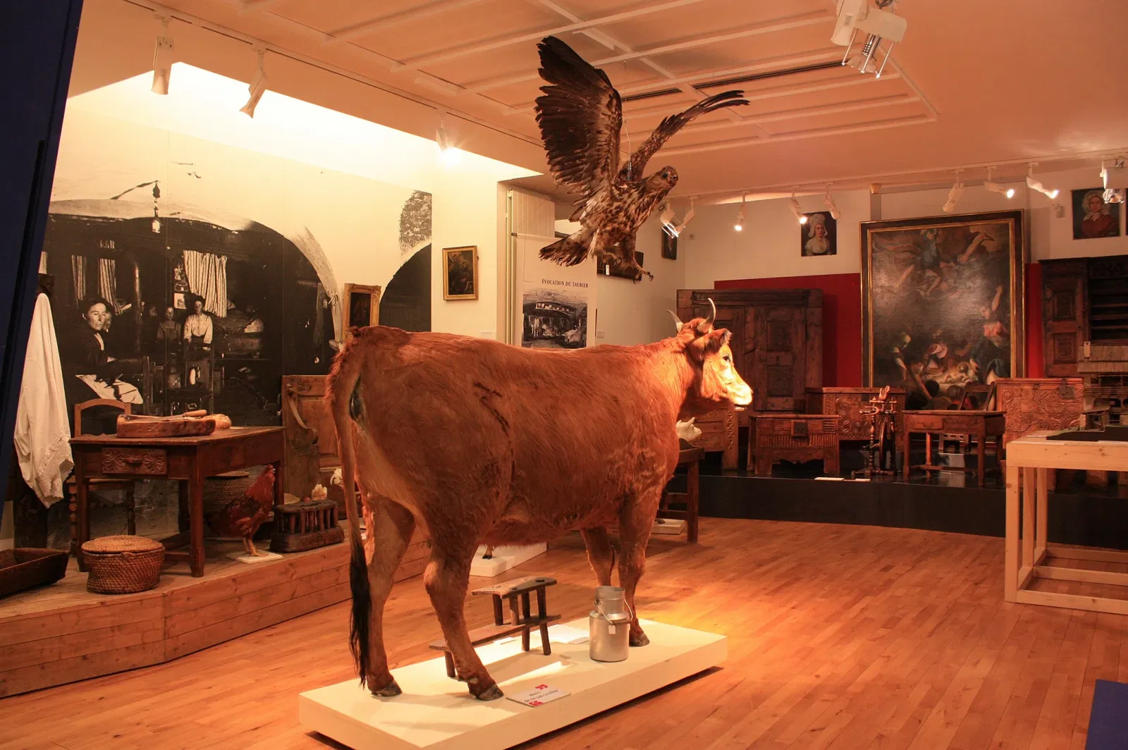 Musée Muséum Départemental