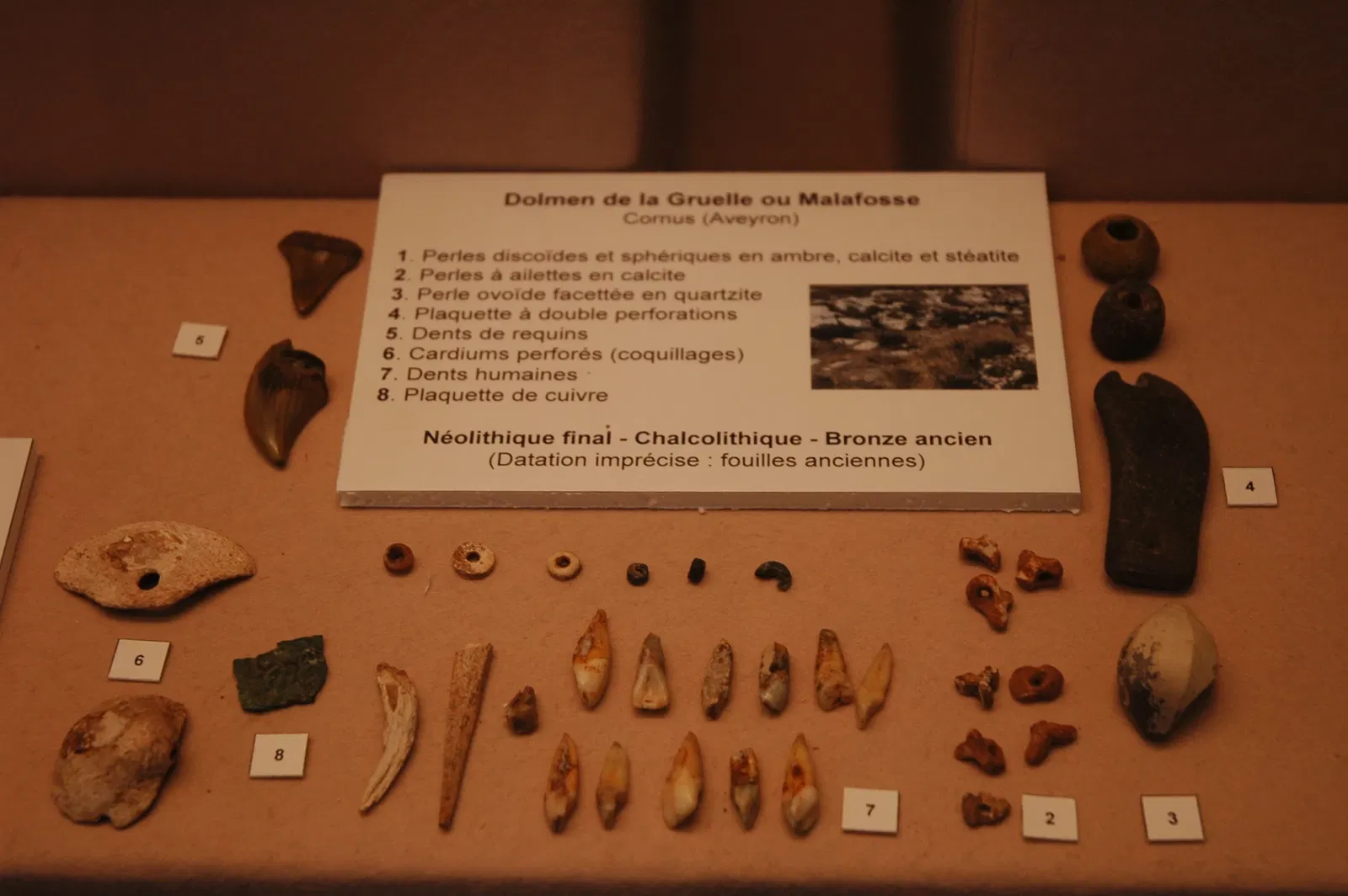 Musée Muséum Départemental