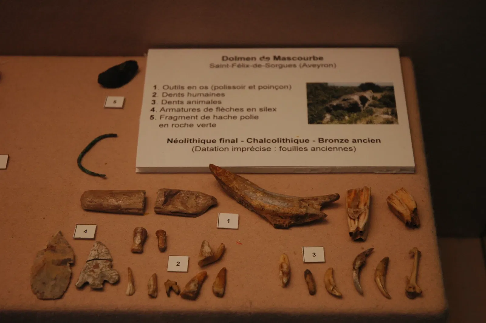 Musée Muséum Départemental