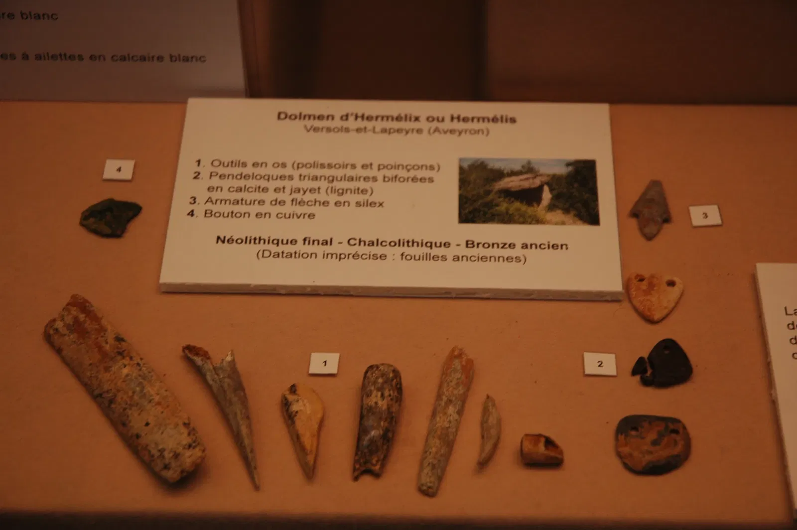 Musée Muséum Départemental