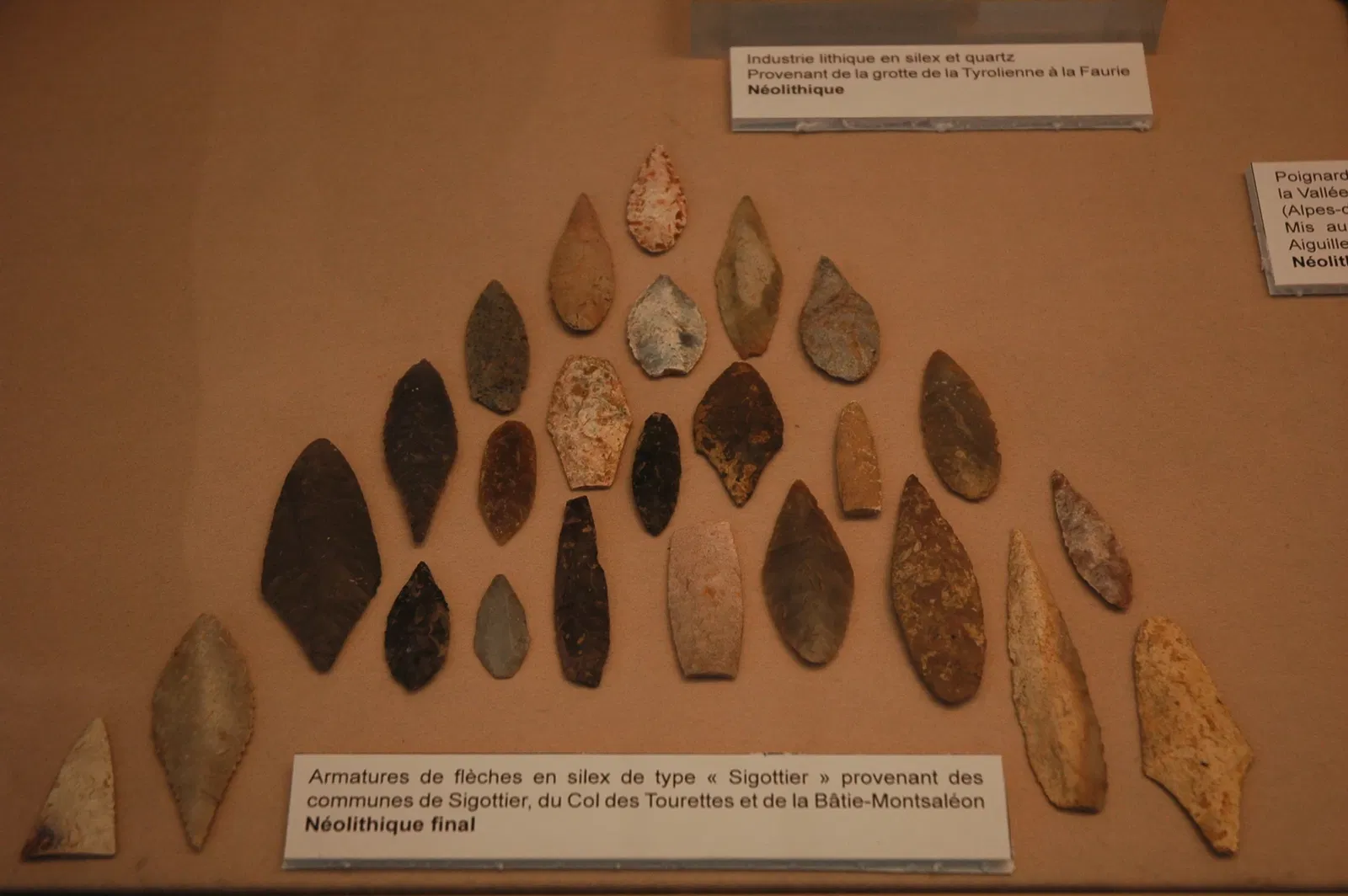 Musée Muséum Départemental