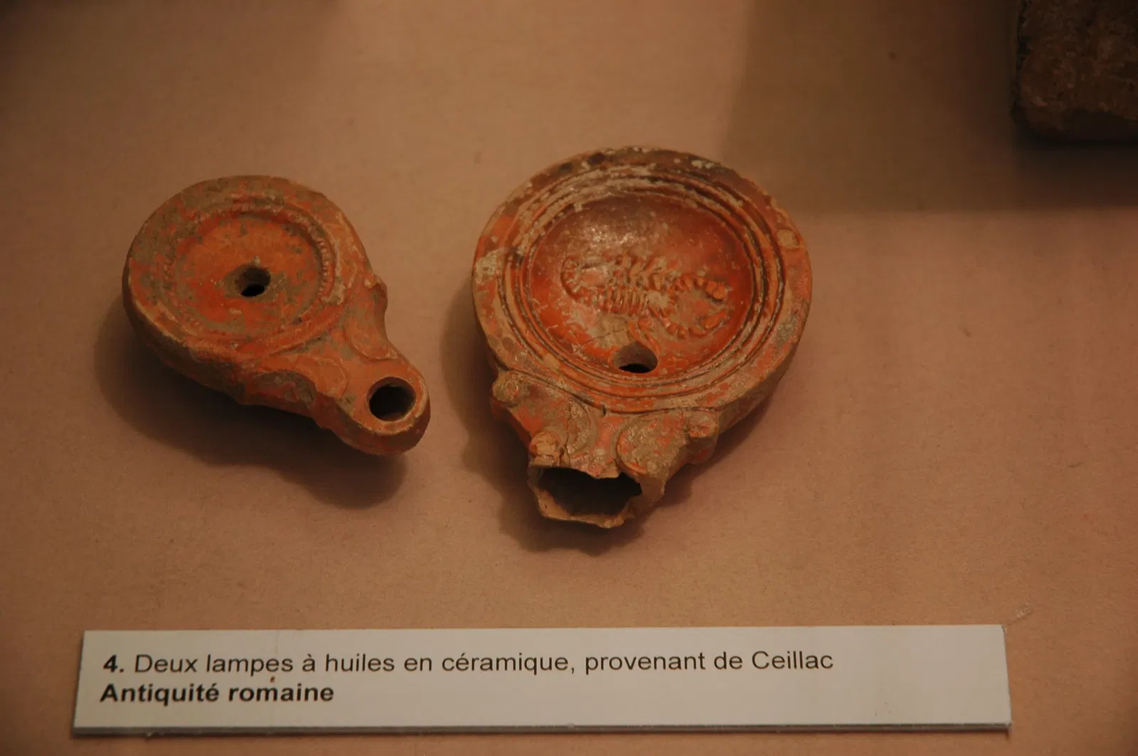 Musée Muséum Départemental