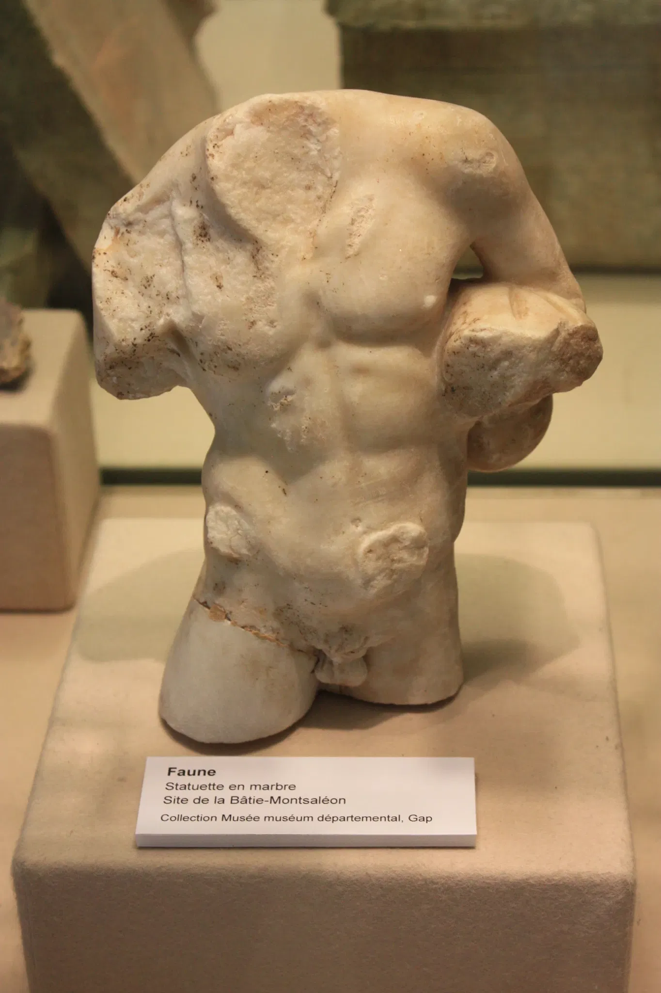 Musée Muséum Départemental