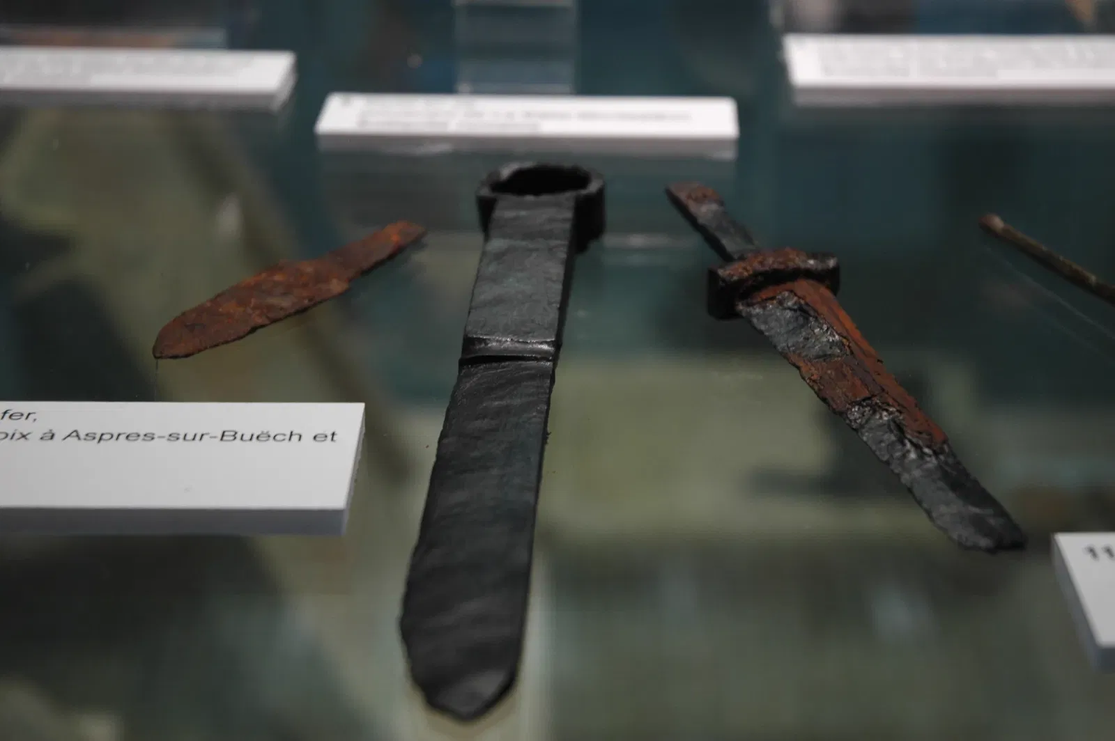 Musée Muséum Départemental