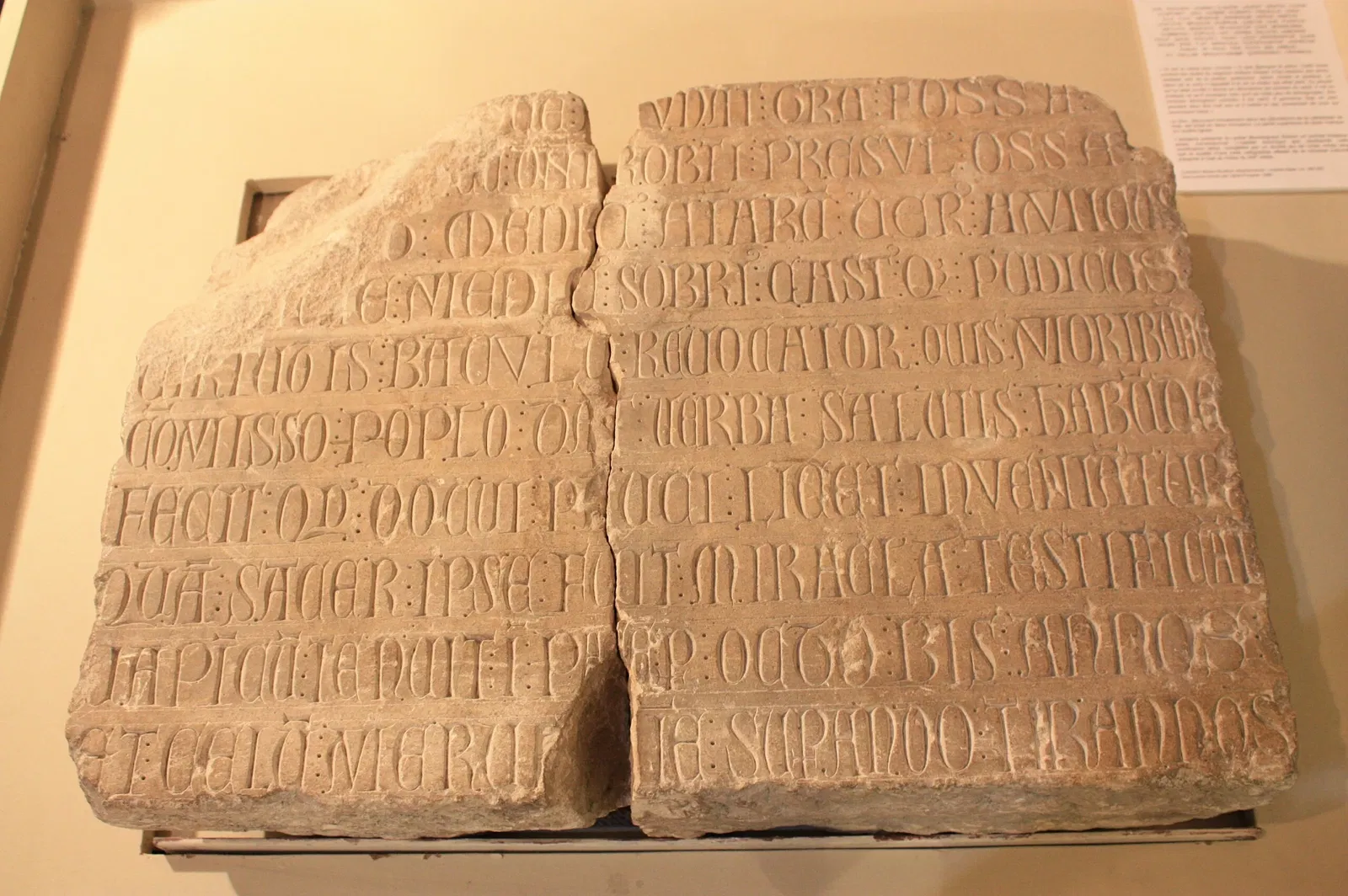 Musée Muséum Départemental