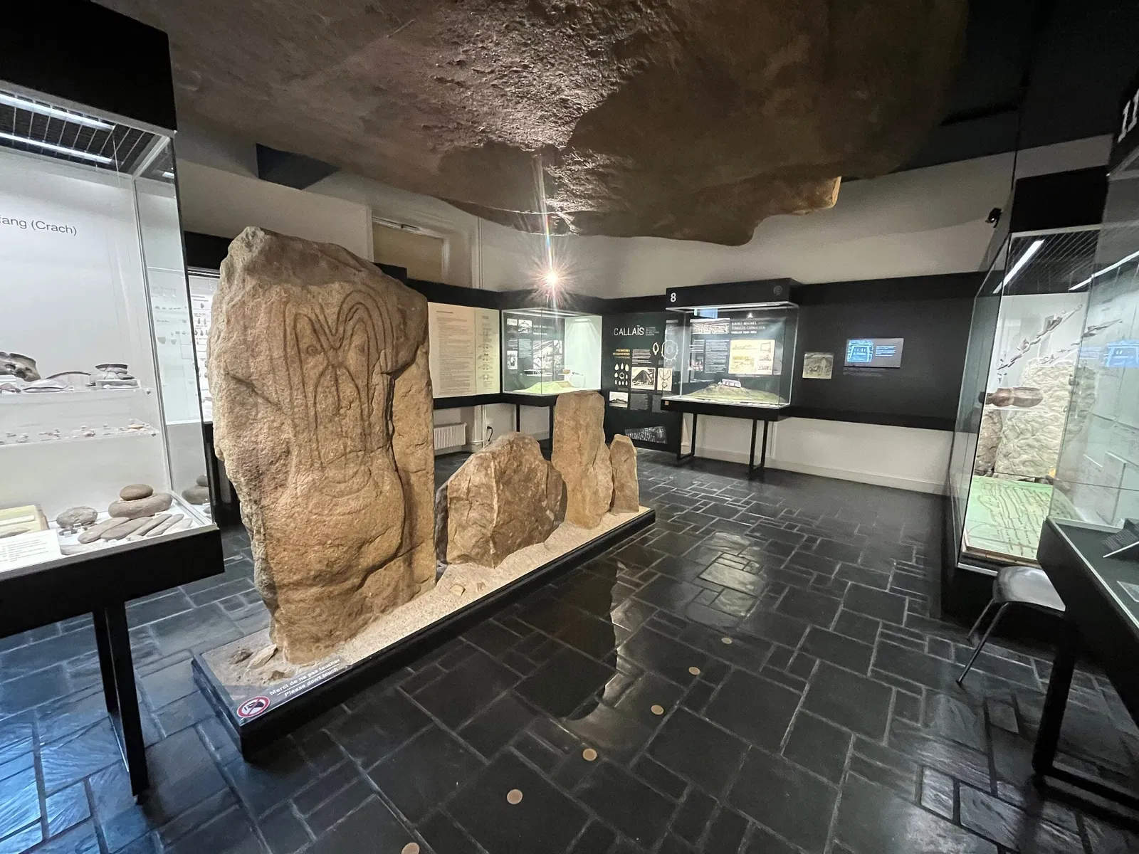 Carnac Prehistory Museum