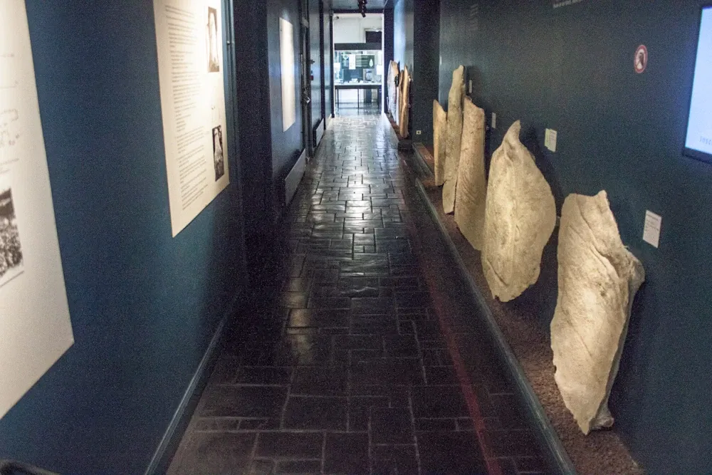 Carnac Prehistory Museum