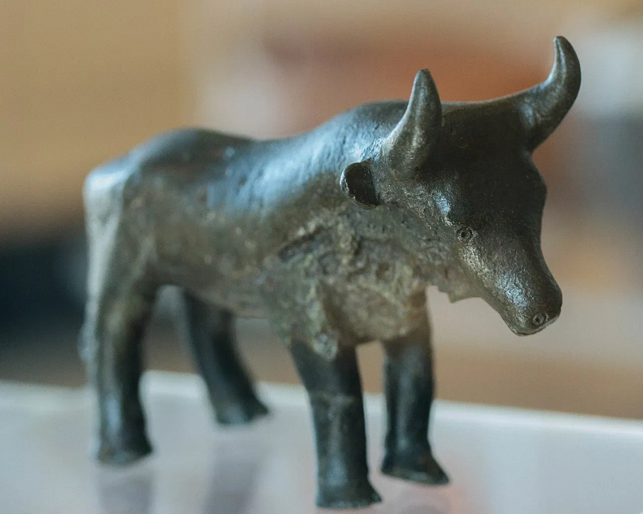 Musée de Préhistoire de Carnac