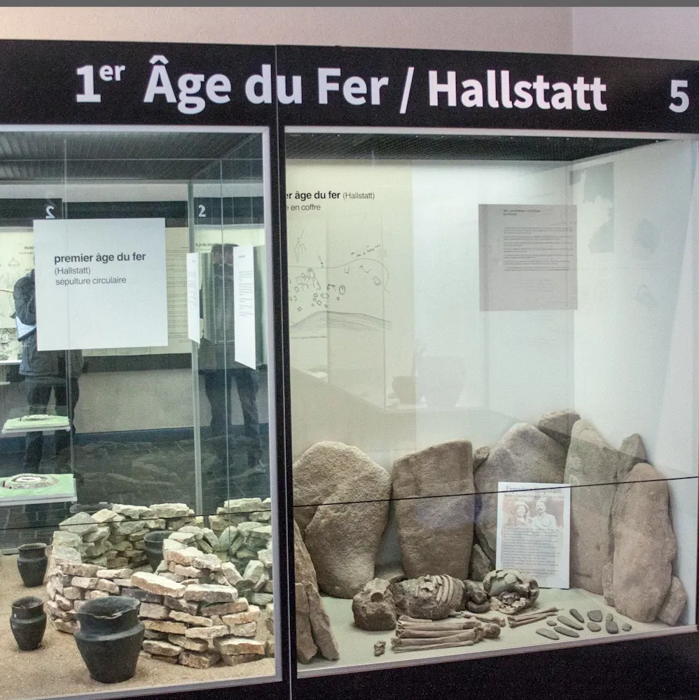 Musée de Préhistoire de Carnac