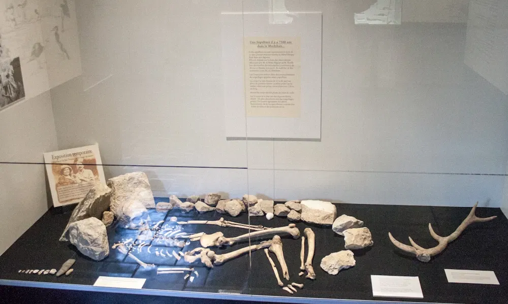 Carnac Prehistory Museum