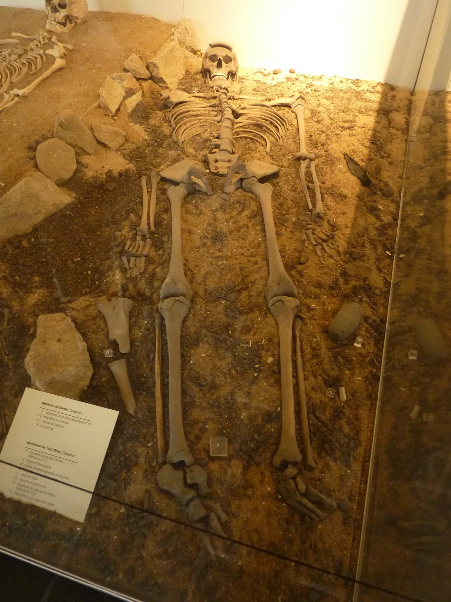 Carnac Prehistory Museum