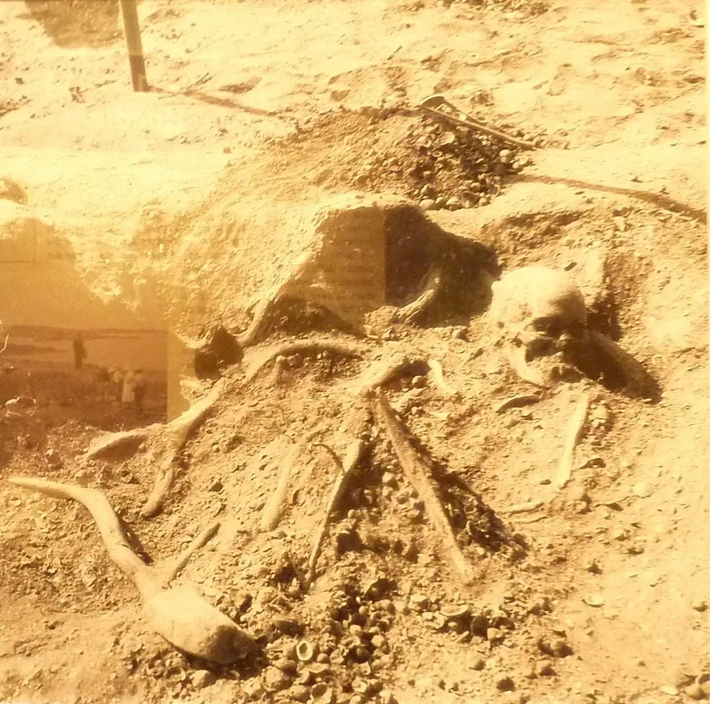 Carnac Prehistory Museum