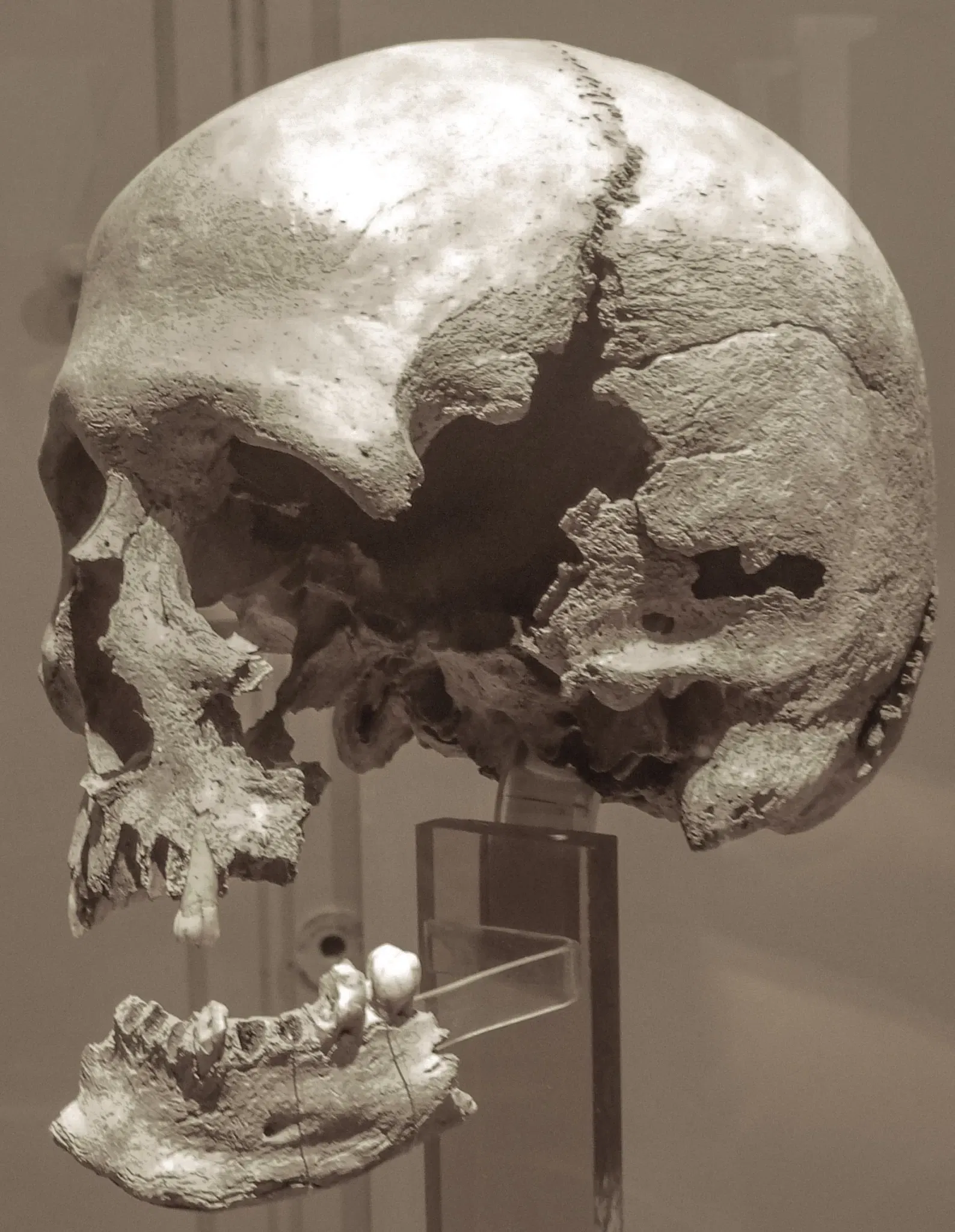 Carnac Prehistory Museum