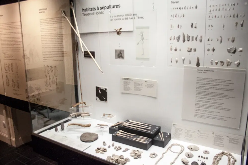 Carnac Prehistory Museum