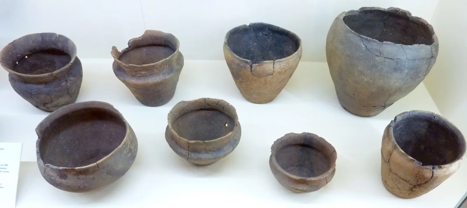 Musée de Préhistoire de Carnac