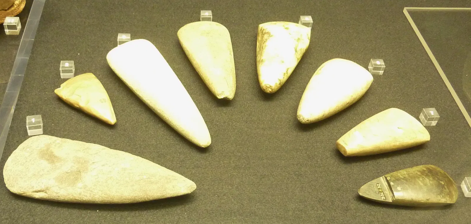 Musée de Préhistoire de Carnac