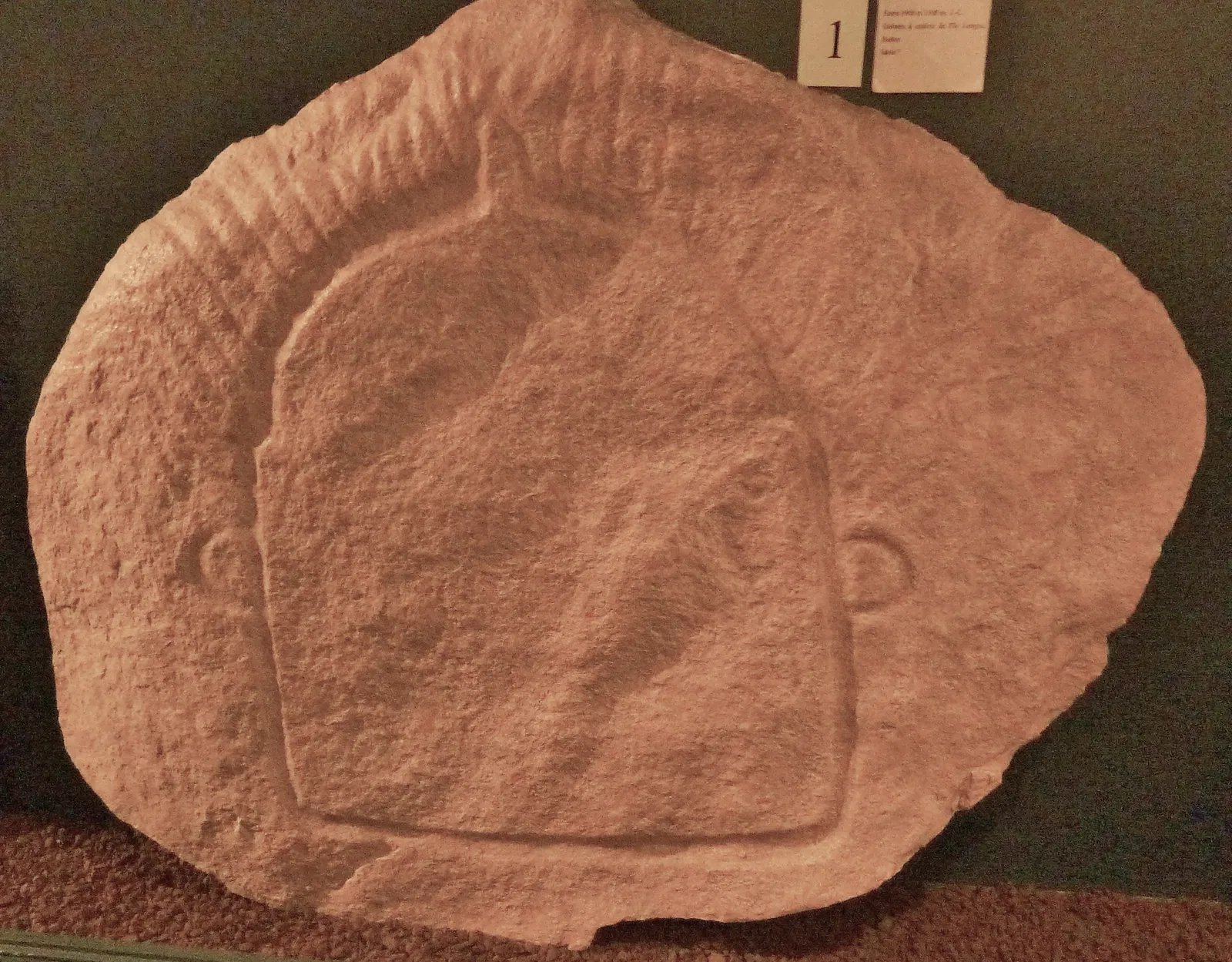 Musée de Préhistoire de Carnac