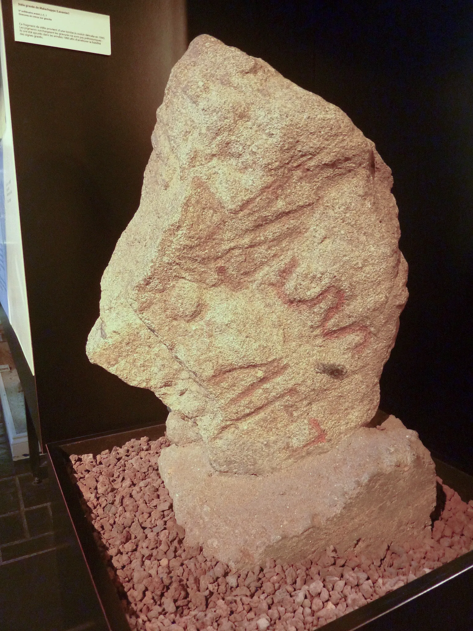 Carnac Prehistory Museum