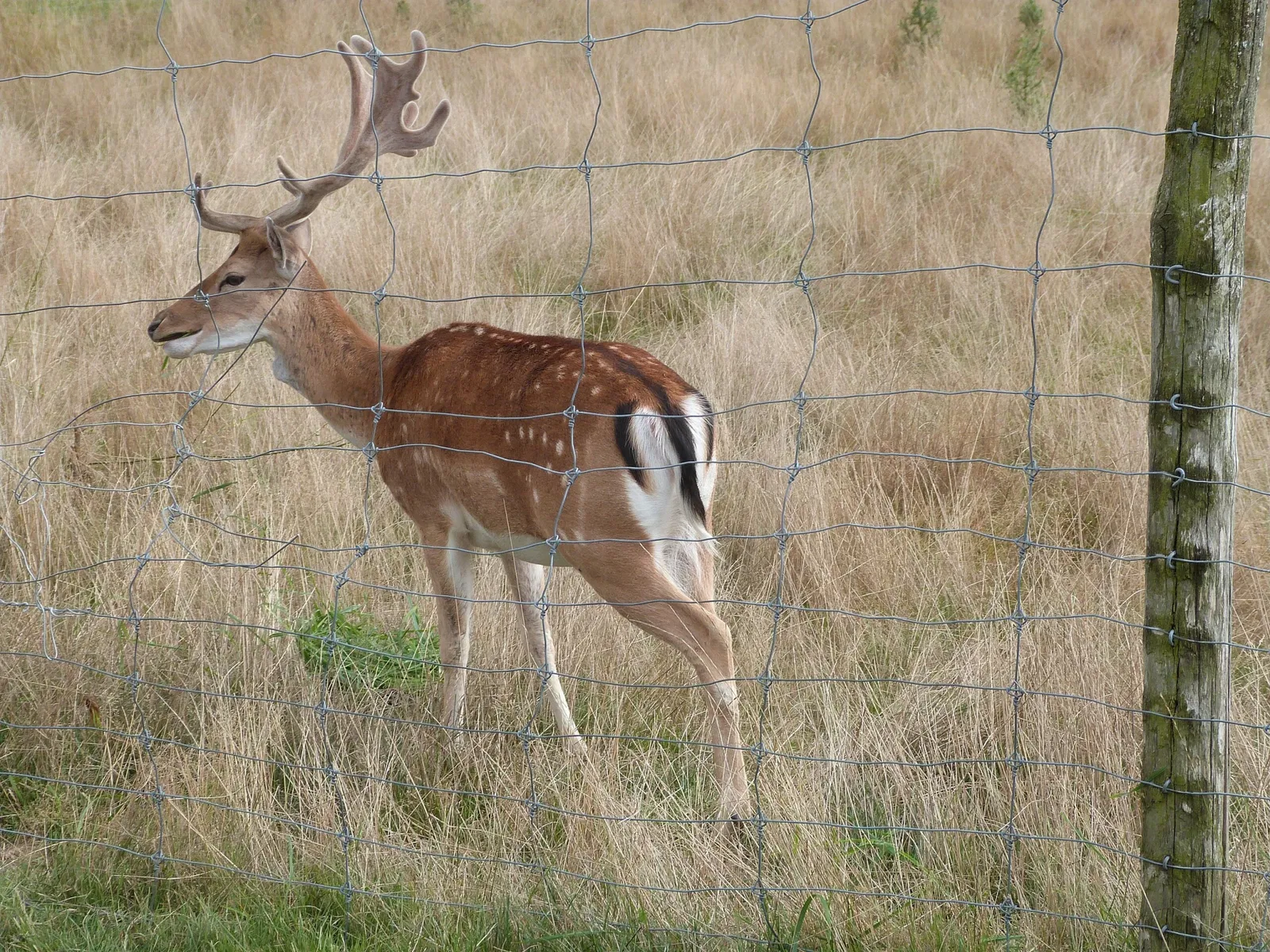 Parc Animalier du Ségala