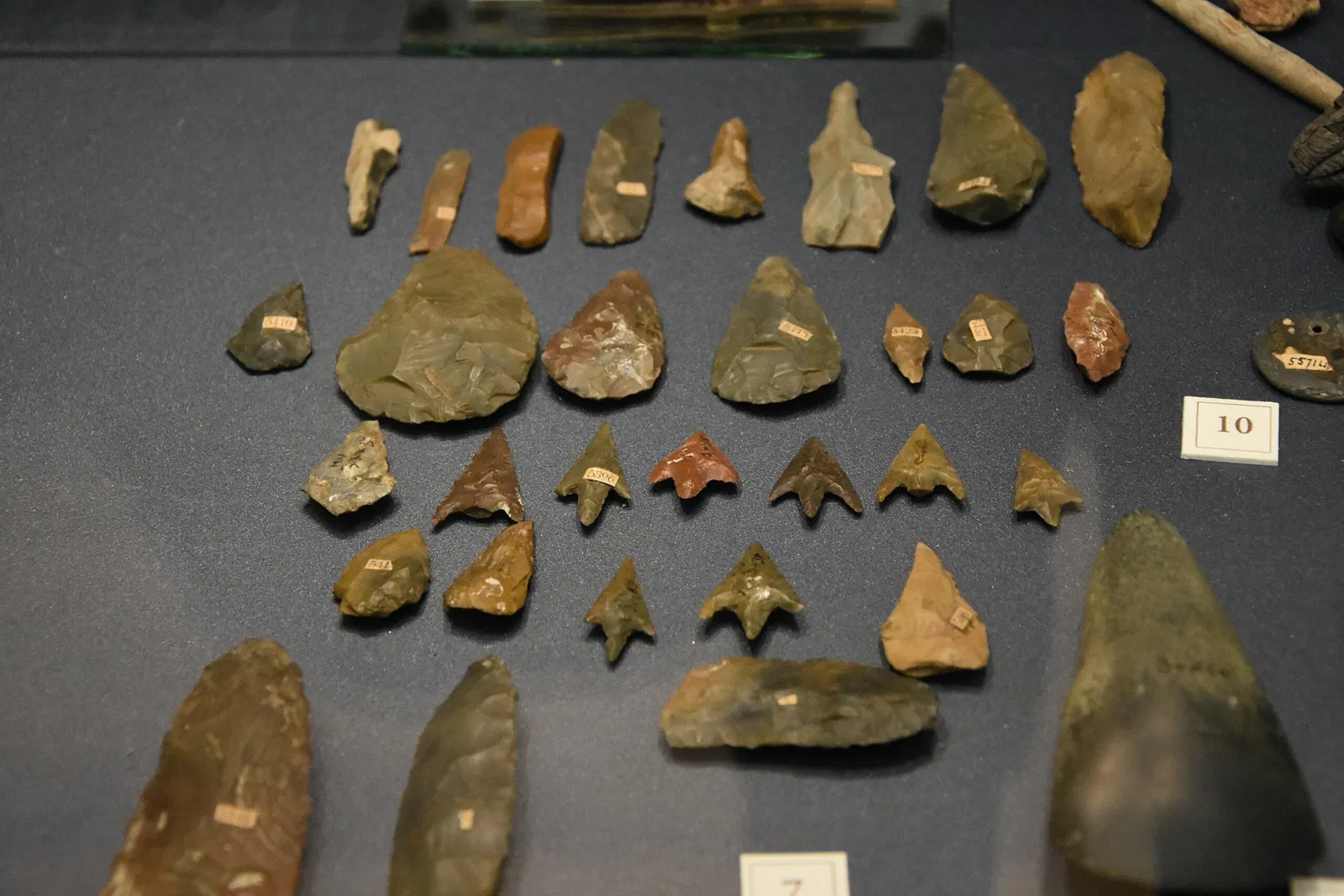 Museo Archeologico di Villa Mirabello